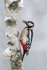 Similar image 21751254