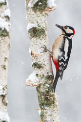 Similar image 21751255