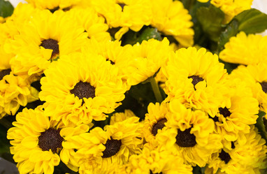 Similar image 21721319