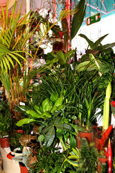 Similar image 21721339