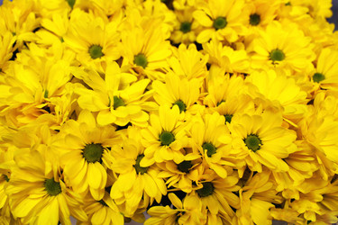 Similar image 21721340