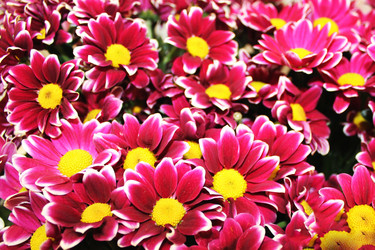 Similar image 21721342