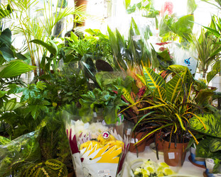 Similar image 21721343