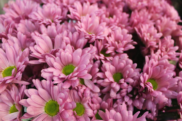 Similar image 21722465