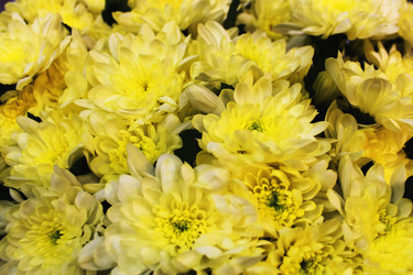 Similar image 21722467