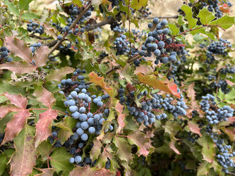 Similar image 21722468