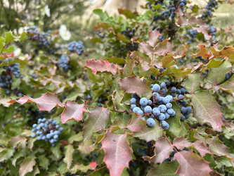 Similar image 21722469