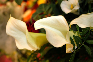 Similar image 21722472