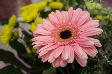 Similar image 21751015