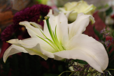 Similar image 21751016