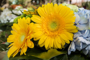 Similar image 21751017