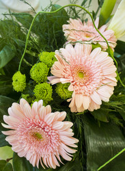 Similar image 21751019