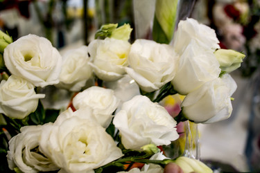 Similar image 21751021