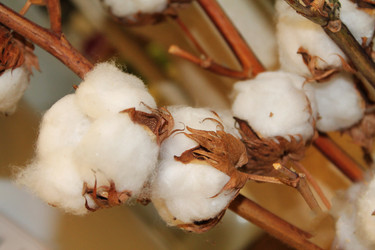 Similar image 21751022