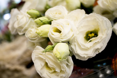 Similar image 21751023