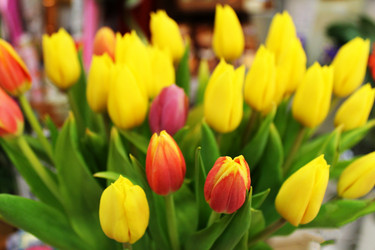 Similar image 21757099