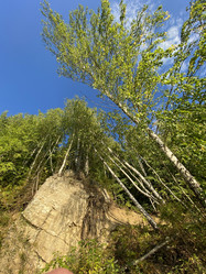 Similar image 21721320