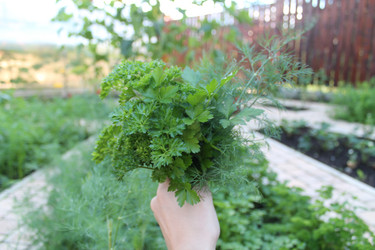 Similar image 21721345