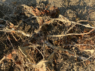 Similar image 21721346