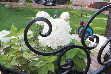 Similar image 21722474