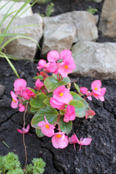 Similar image 21722478