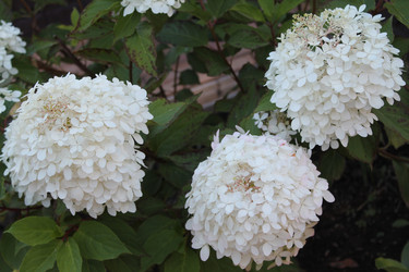 Similar image 21751024