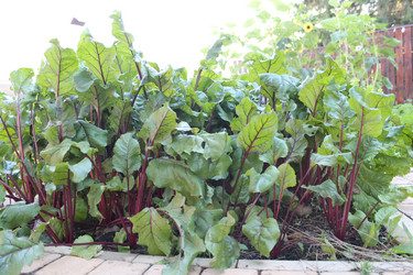 Similar image 21751026