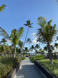 Similar image 21751027