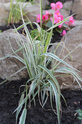 Similar image 21751030