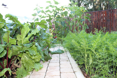 Similar image 21757106