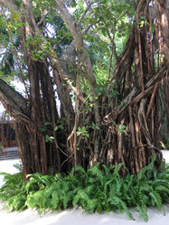 Similar image 21757514