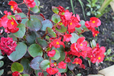 Similar image 21721322