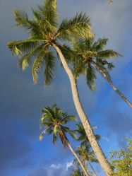 Similar image 21722480