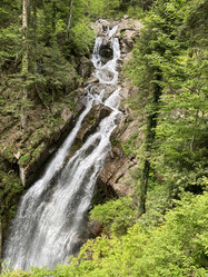 Similar image 21722481