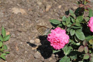 Similar image 21722485