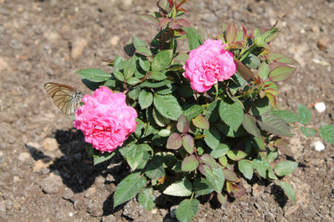 Similar image 21722486