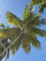 Similar image 21751033