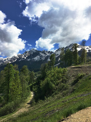 Similar image 21751035