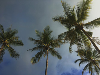 Similar image 21751037