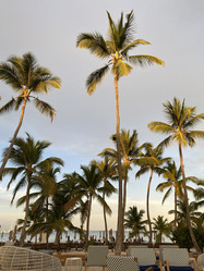 Similar image 21751038