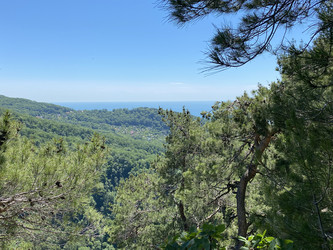 Similar image 21751040