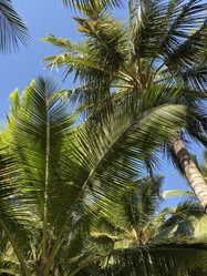 Similar image 21757108