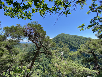 Similar image 21757109