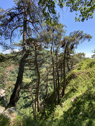 Similar image 21757515