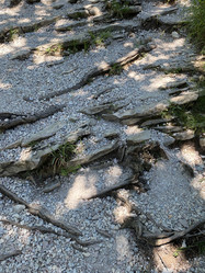 Similar image 21757777