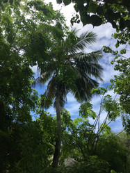 Similar image 21758518