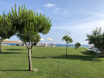 Similar image 21721324