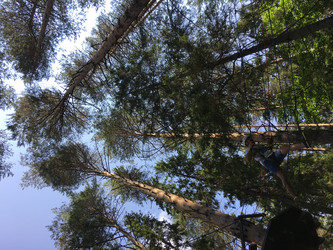 Similar image 21722487