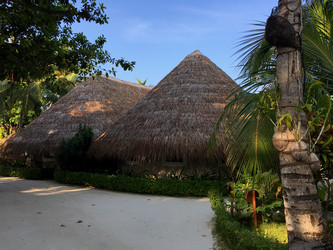 Similar image 21722488