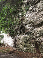 Similar image 21722491